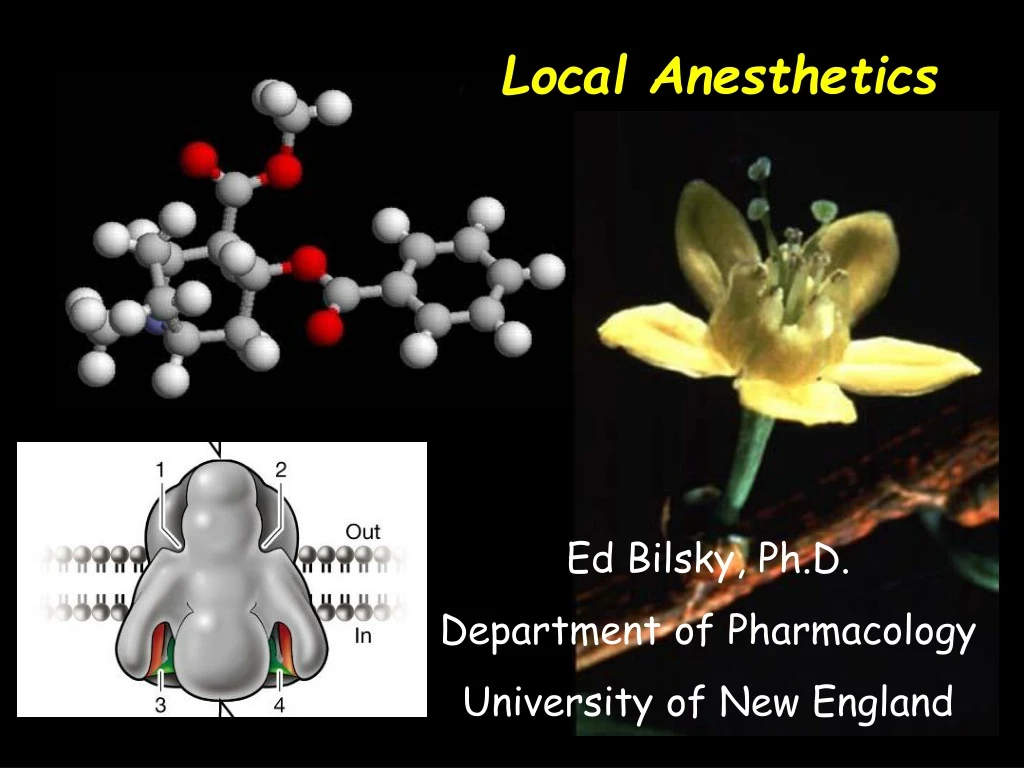 local anesthetics