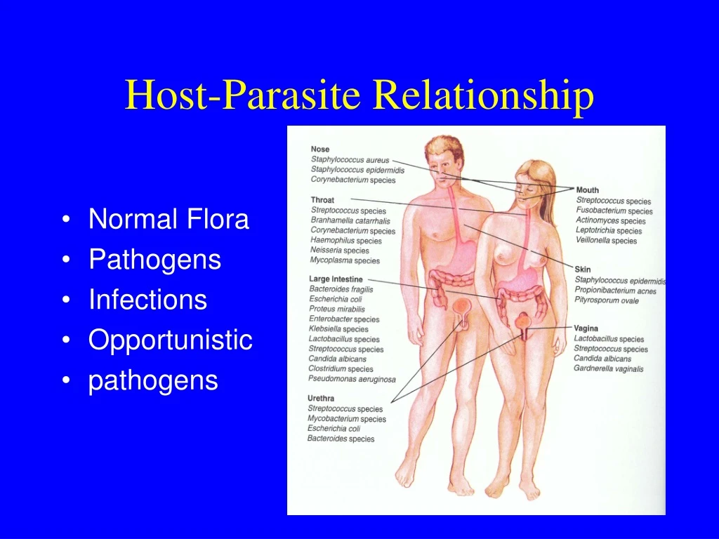 host parasite relationship
