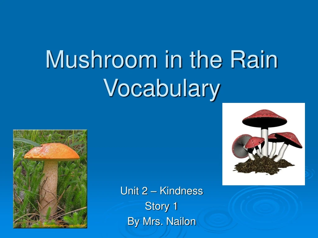 mushroom in the rain vocabulary