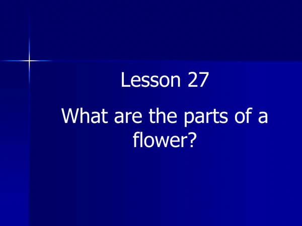 Lesson 27 What are the parts of a flower?