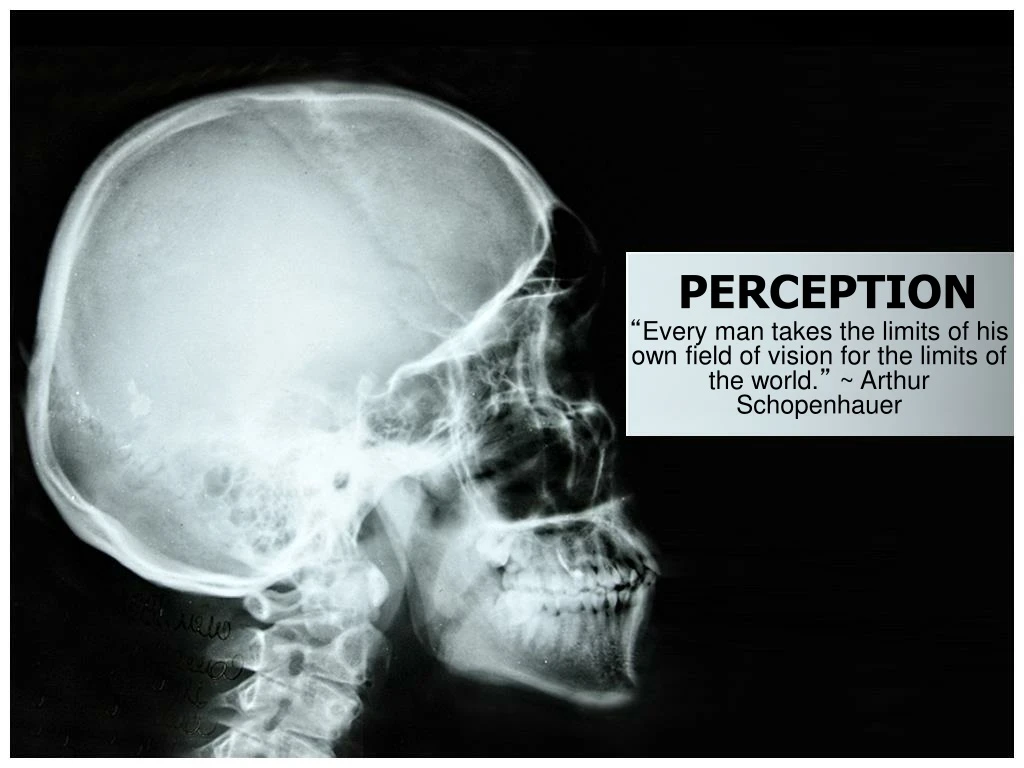 perception