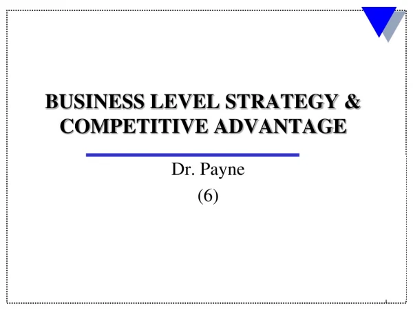 BUSINESS LEVEL STRATEGY &amp; COMPETITIVE ADVANTAGE