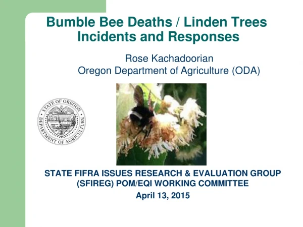 Bumble Bee Deaths / Linden Trees  Incidents and Responses