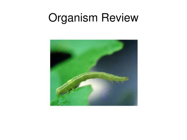 Organism Review