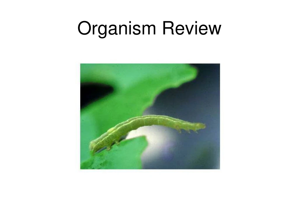 organism review