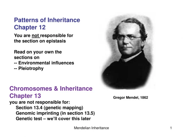 Gregor Mendel, 1862