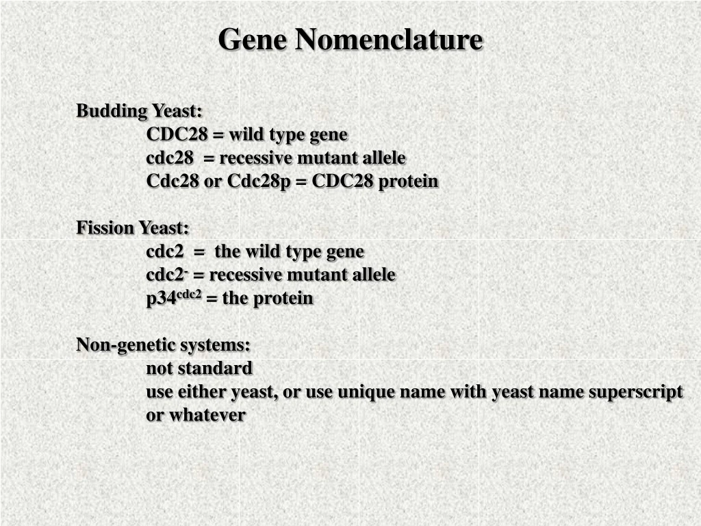 gene nomenclature