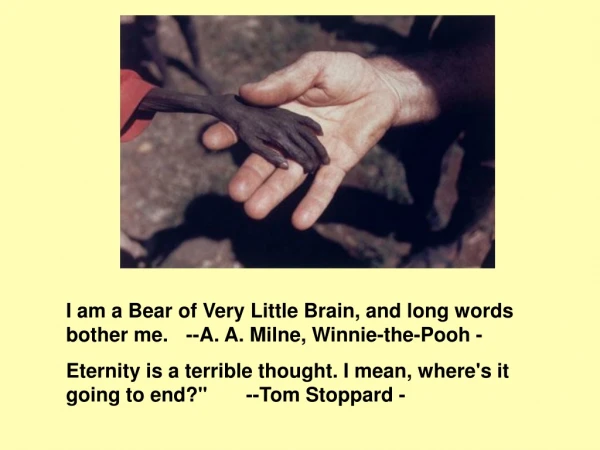 I am a Bear of Very Little Brain, and long words bother me. 	--A. A. Milne, Winnie-the-Pooh -