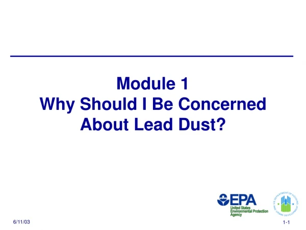 Module 1 Why Should I Be Concerned  About Lead Dust?