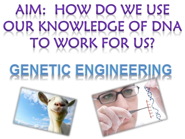Aim:  how do we use our knowledge of  dna  to work for us?