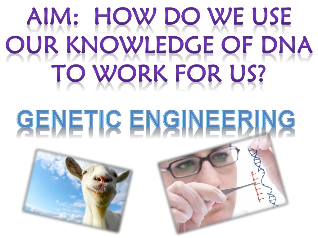 aim how do we use our knowledge of dna to work