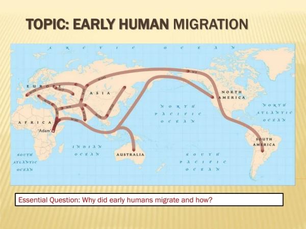 Topic: Early Human  Migration