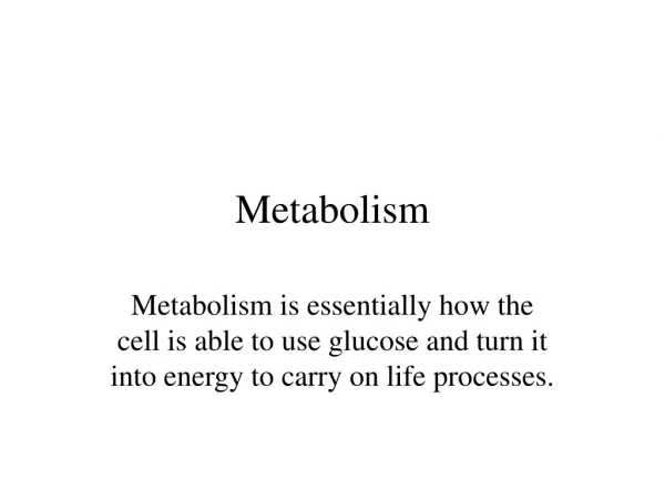 Metabolism