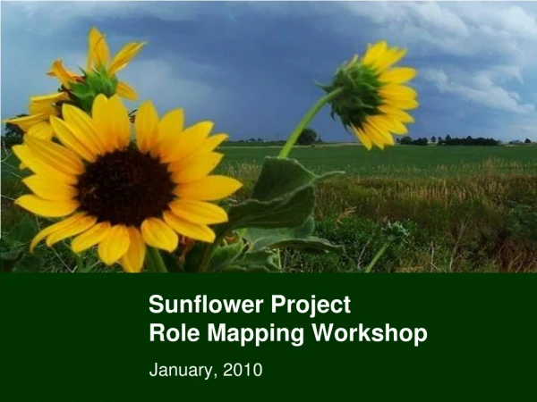 Sunflower Project Role Mapping Workshop