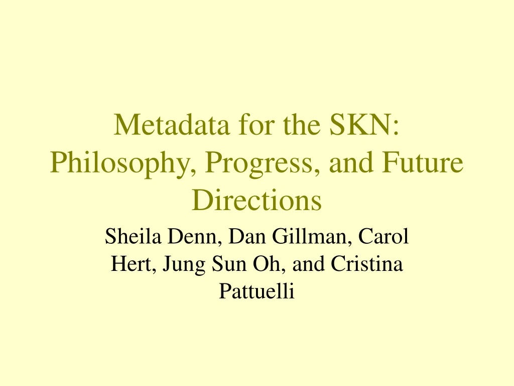 metadata for the skn philosophy progress and future directions