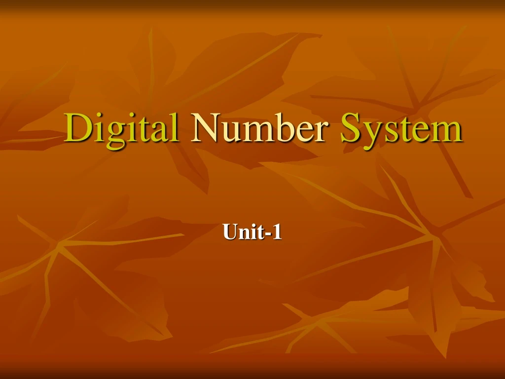 digital number system