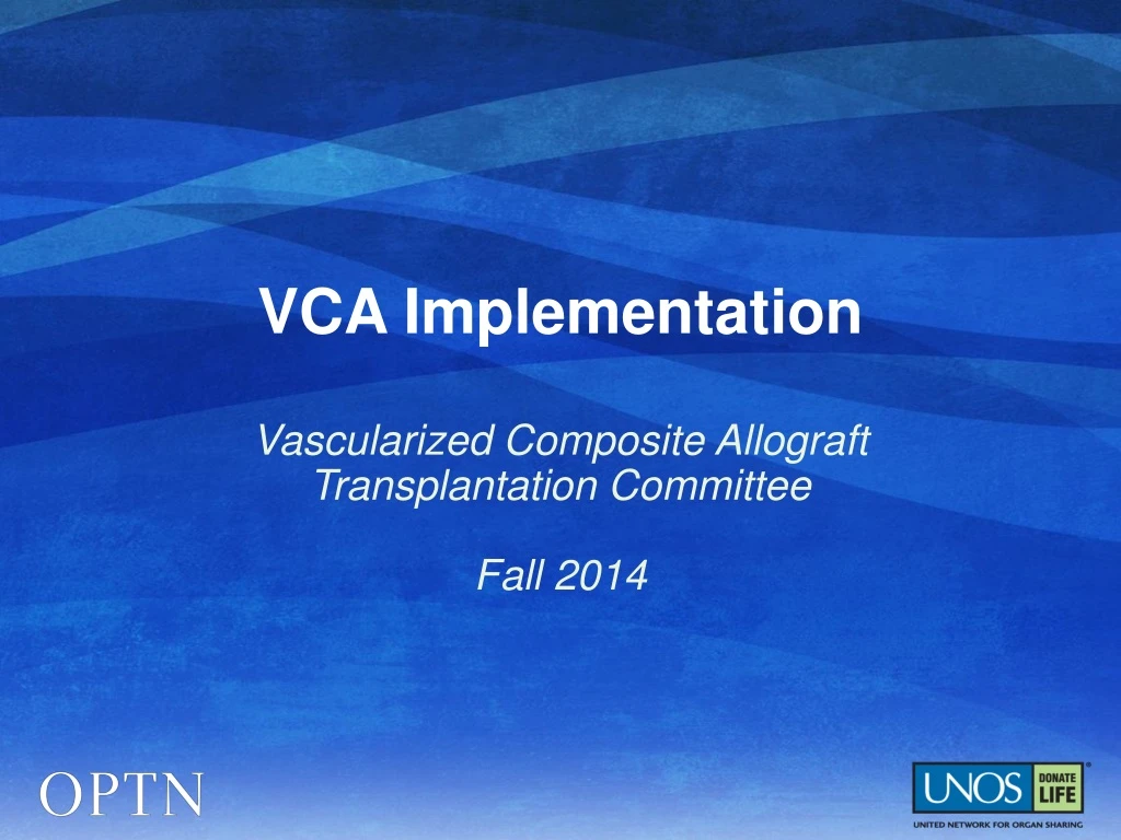 vca implementation