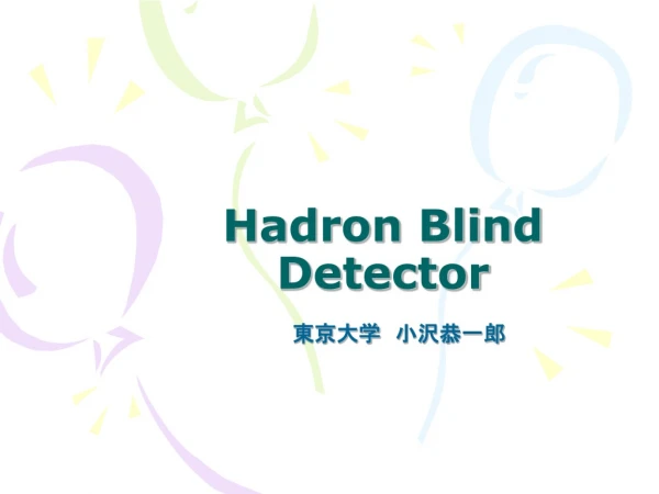 Hadron Blind Detector