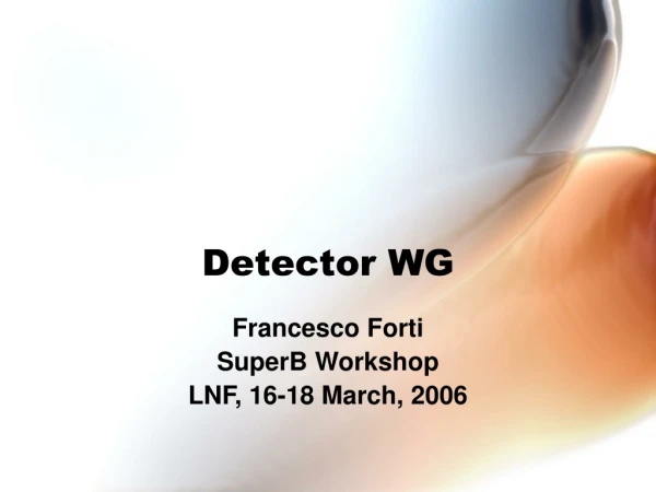 Detector WG