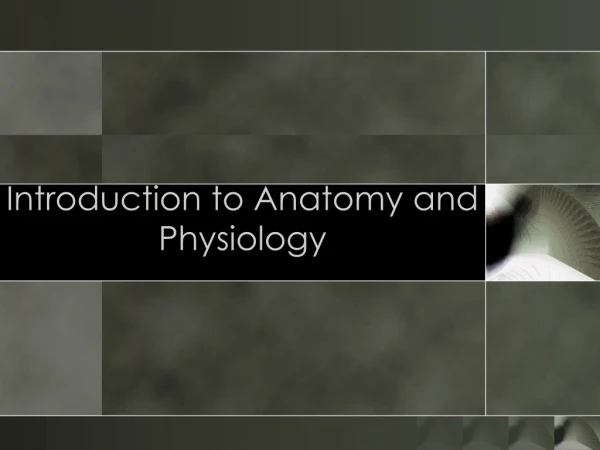 Introduction to Anatomy and Physiology