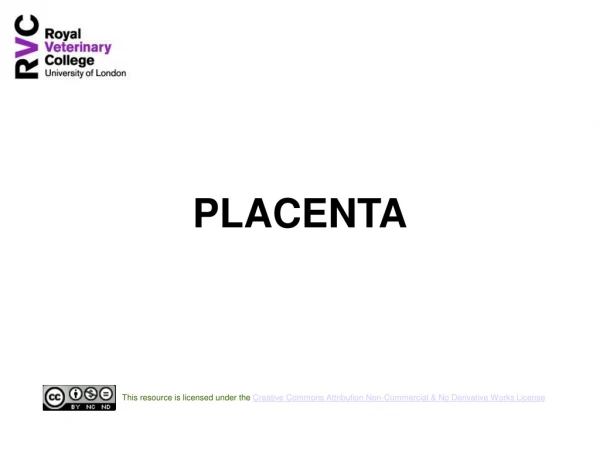 PLACENTA