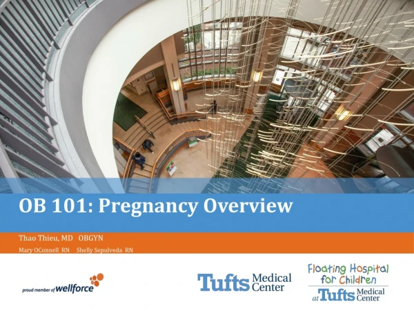 OB 101: Pregnancy Overview