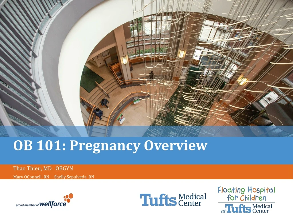ob 101 pregnancy overview