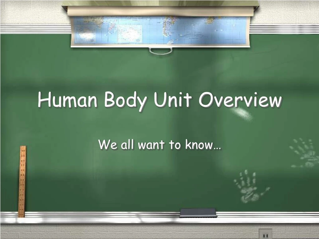 human body unit overview