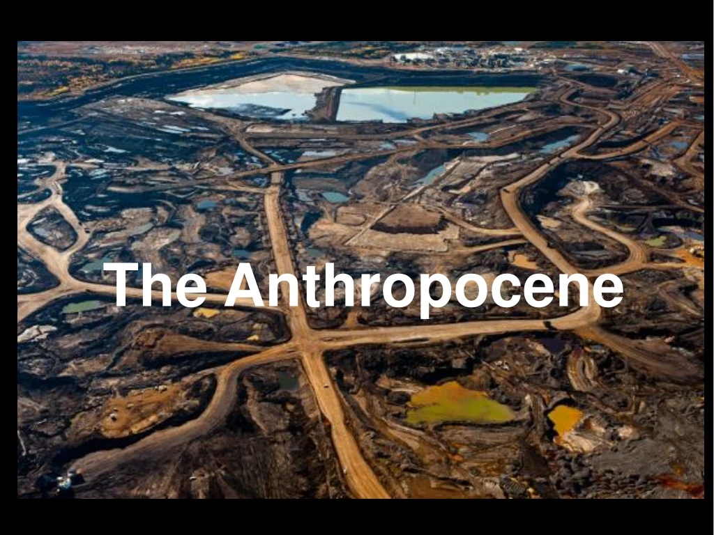 the anthropocene