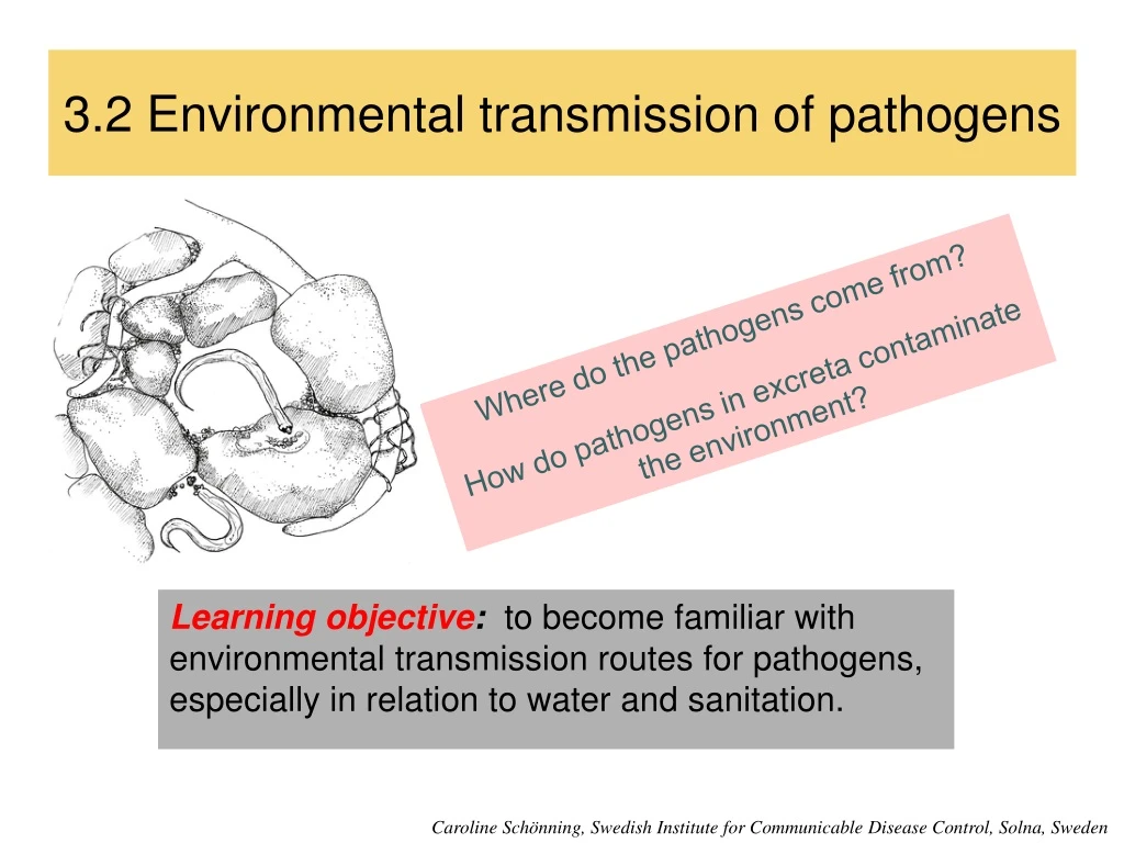 3 2 environmental transmission of pathogens