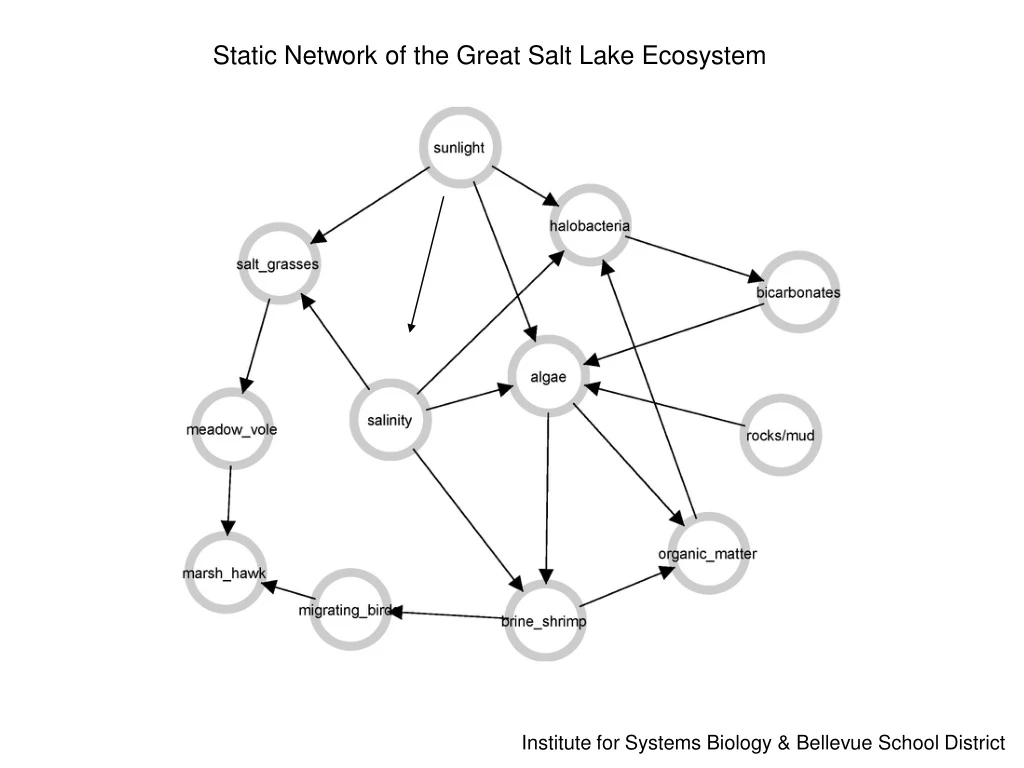 static network of the great salt lake ecosystem