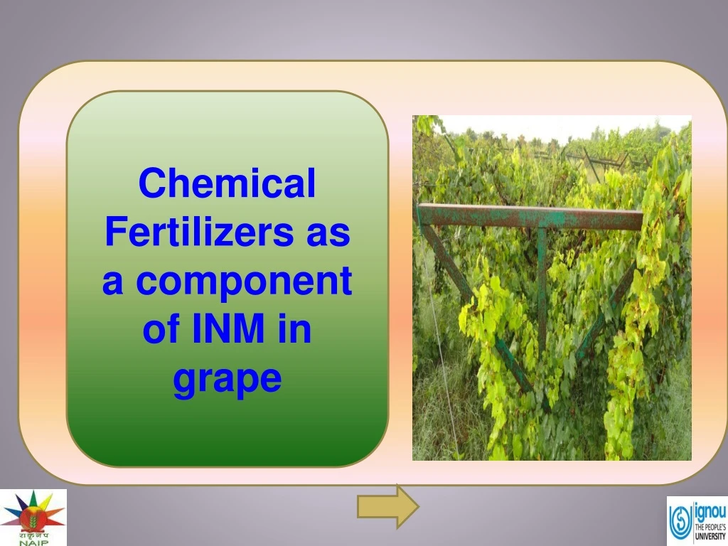 chemical fertilizers as a component