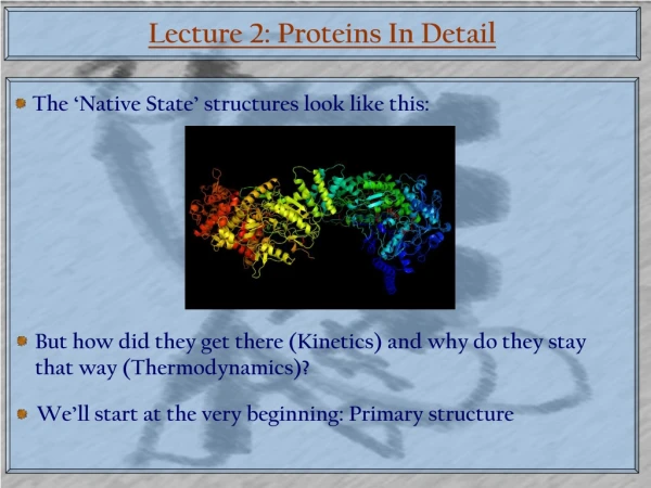 Lecture 2: Proteins In Detail