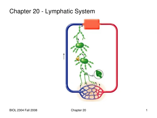 Chapter 20 - Lymphatic System