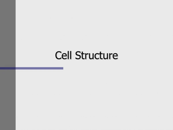 Cell Structure