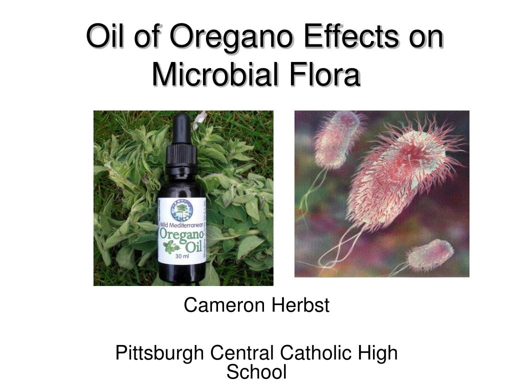 oil of oregano effects on microbial flora