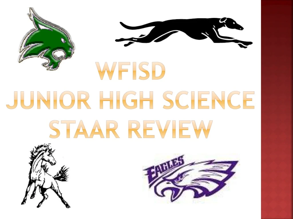 wfisd junior high science staar review