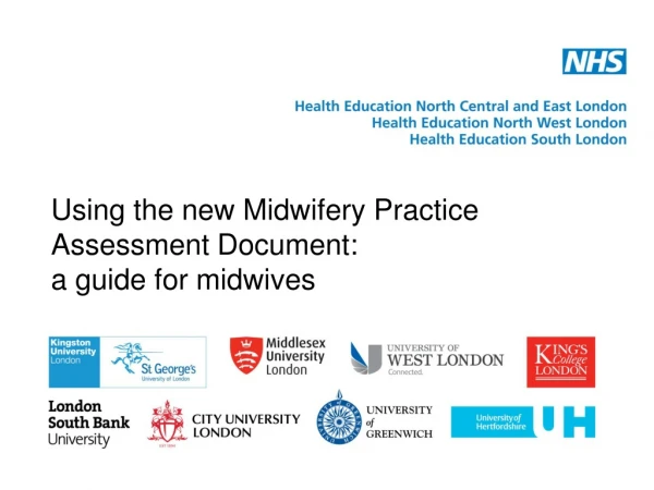 Using the new Midwifery Practice Assessment Document:  a guide for midwives