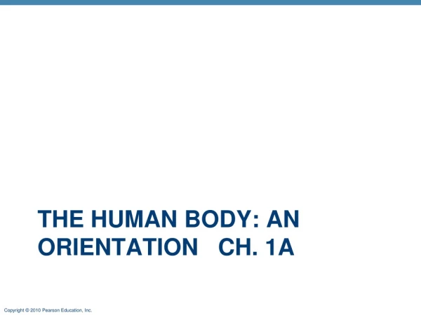 The Human Body: An  Orientation   Ch . 1a