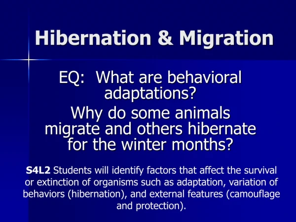 Hibernation &amp; Migration
