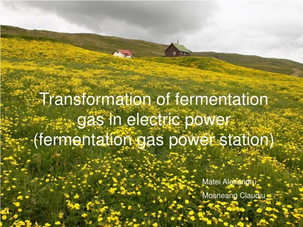 Transformation of fermentation gas in electric power (fermentation gas power station)