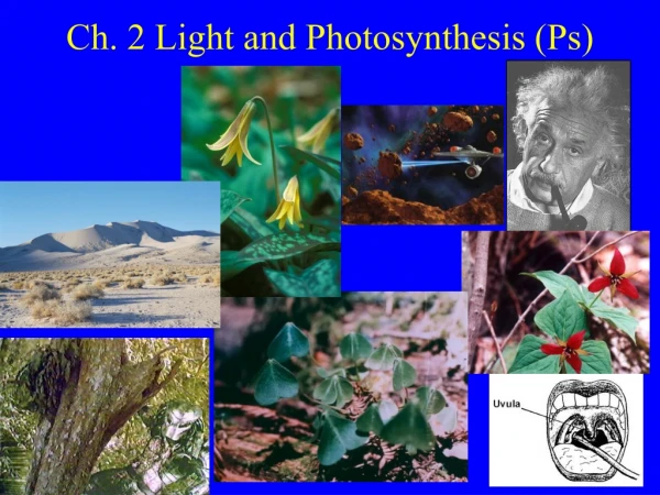 Ch. 2 Light and Photosynthesis (Ps)