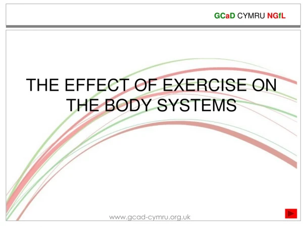 THE EFFECT OF EXERCISE ON THE BODY SYSTEMS
