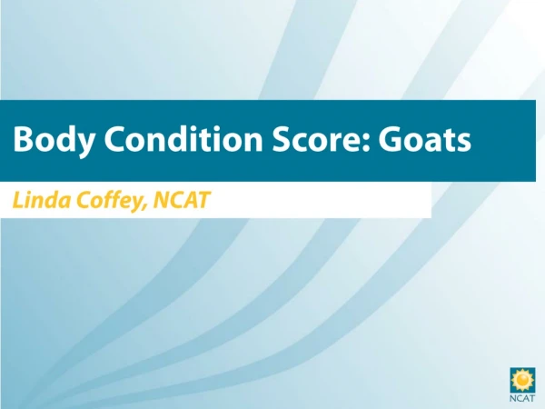 Body Condition Score: Goats