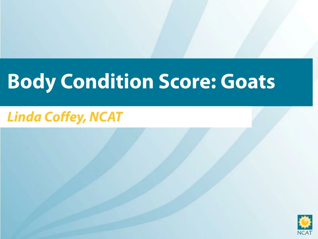 body condition score goats