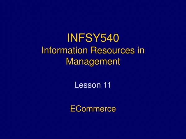 INFSY540 Information Resources in Management