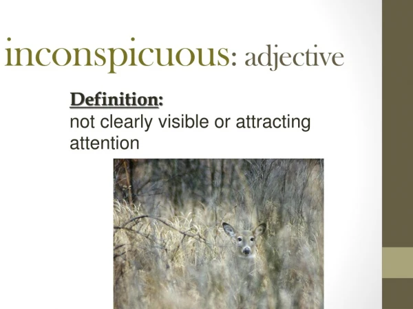 inconspicuous : adjective