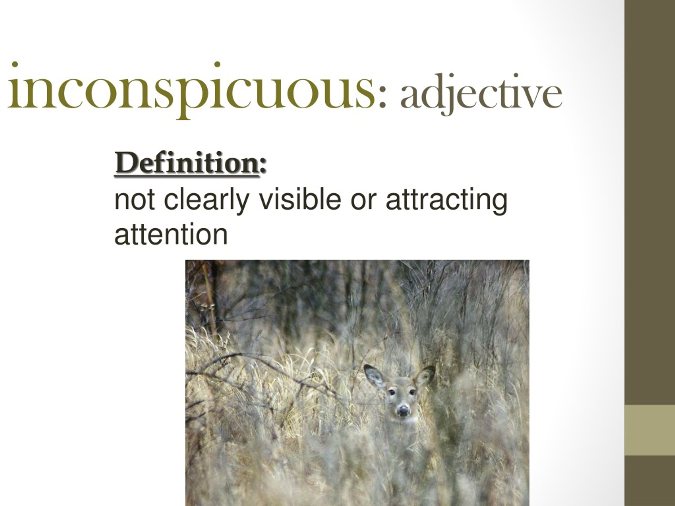 Secrets of Inconspicuousness - Blend In with Grace - slide 1