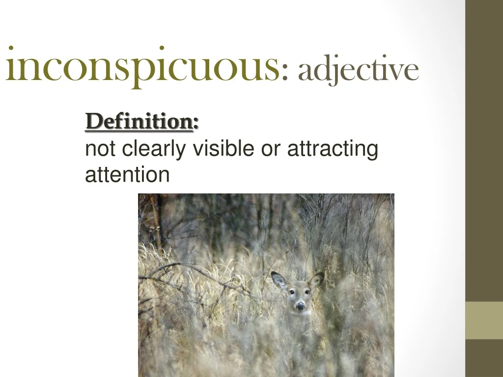 inconspicuous adjective