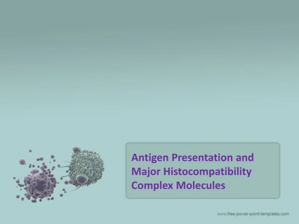 Antigen Presentation and Major Histocompatibility Complex Molecules